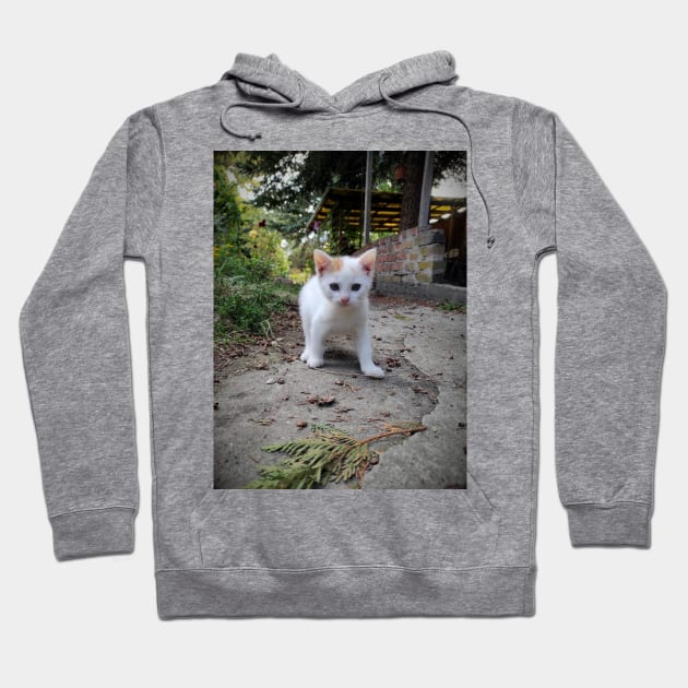 Little cat Jonny Hoodie by Gourmetkater